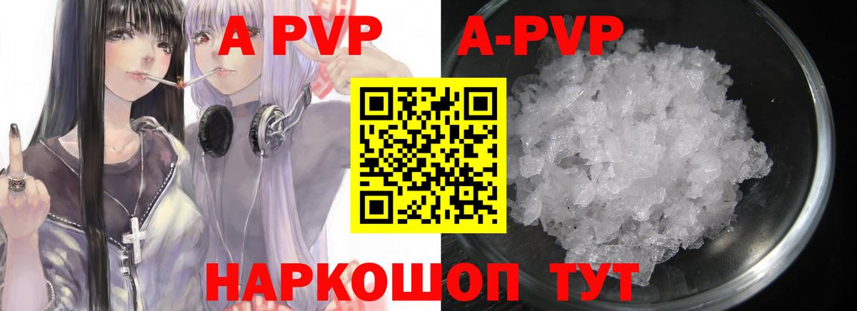 A PVP Кострома
